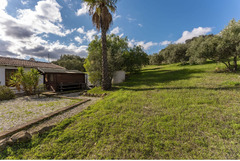 Finca - Cortijo in Tolox