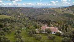 Finca - Cortijo in Tolox