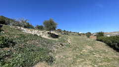Finca - Cortijo in Tolox
