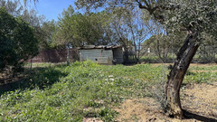Finca - Cortijo in Tolox