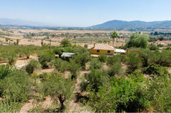 Detached Villa in Alhaurín de la Torre