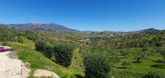 Finca - Cortijo in Tolox