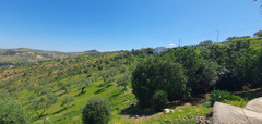 Finca - Cortijo in Tolox