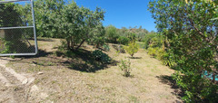Finca - Cortijo in Tolox