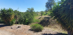 Finca - Cortijo in Tolox