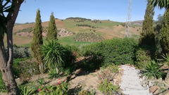 Detached Villa in Almogía