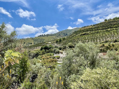 Wonderful  country house in countryside of Frigiliana - Torrox