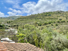 Wonderful  country house in countryside of Frigiliana - Torrox
