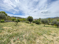 Finca - Cortijo in Coín