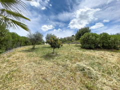 Finca - Cortijo in Coín