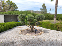 Finca - Cortijo in Coín
