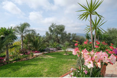Finca - Cortijo in Tolox