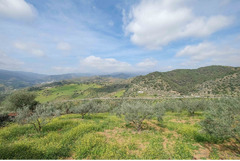 Finca - Cortijo in Tolox