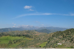 Finca - Cortijo in Tolox