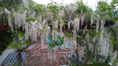 Detached Villa in Guaro