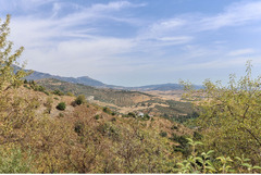 Detached Villa in Guaro