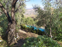Detached Villa in Guaro