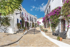 House For Sale in Nueva Andalucía, Costa del Sol
