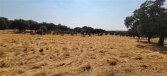 Charming Off-Grid Countryside Retreat near Trujillo/Extremadura/Spain