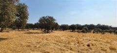 Charming Off-Grid Countryside Retreat near Trujillo/Extremadura/Spain