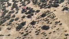 Charming Off-Grid Countryside Retreat near Trujillo/Extremadura/Spain