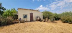 Tiny house with a productive olive grove Extremadura/Spain/59.000€