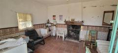 Tiny house with a productive olive grove Extremadura/Spain/59.000€