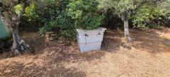 Tiny house with a productive olive grove Extremadura/Spain/59.000€
