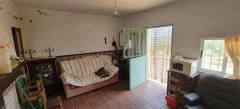 Tiny house with a productive olive grove Extremadura/Spain/59.000€