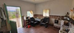 Tiny house with a productive olive grove Extremadura/Spain/59.000€
