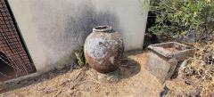 Tiny house with a productive olive grove Extremadura/Spain/59.000€