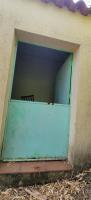 Tiny house with a productive olive grove Extremadura/Spain/59.000€