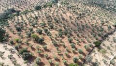 Tiny house with a productive olive grove Extremadura/Spain/59.000€