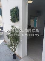 Ground floor seaside apartment - Cala Major, Palma