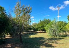Property of 13,000 m² with House, Pool, and Stables