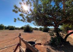 Property of 13,000 m² with House, Pool, and Stables