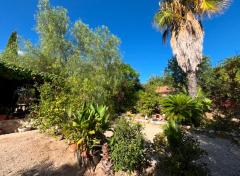 Property of 13,000 m² with House, Pool, and Stables