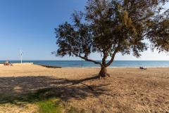 Cosy Apartment  for sale Torrevieja (La Mata)