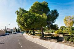 2 Bedroom Bungalow For Sale In Torrevieja