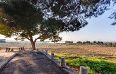 2 Bedroom Bungalow For Sale In Torrevieja