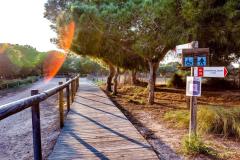 2 Bedroom Bungalow For Sale In Torrevieja