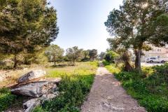 2 Bedroom Bungalow For Sale In Torrevieja