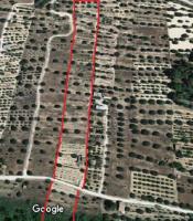 Rental of real estate / farmhouse / rural properity and house.