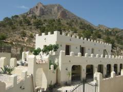 ** Fantastic Business Opportunity** 5 bedroom Finca and land.