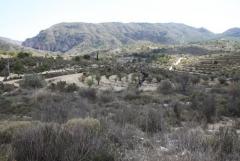 Beautiful land for sell in Relleu