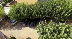 Property in Spain, Apartments sea views in La Mata, Costa Blanca,Spain