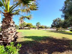 1 Bedroom Apartment For Sale In Torrevieja