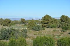 1 Bedroom Apartment For Sale In Blue Lagoon