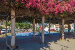 Cozy and very well-kept single-storey townhouse for sale in Torrevieja