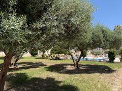 1 Bedroom Apartment For Sale In Orihuela Costa